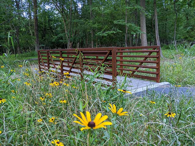 Catawissa Nature Preserve